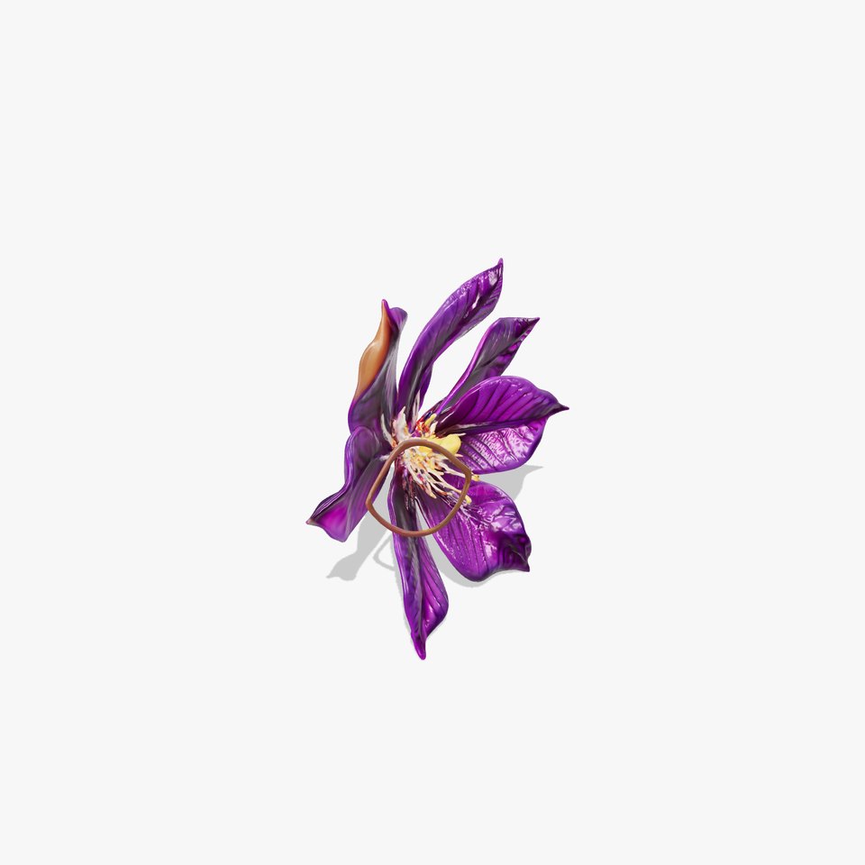 Purple Clematis Flower Climbing Vine model pack